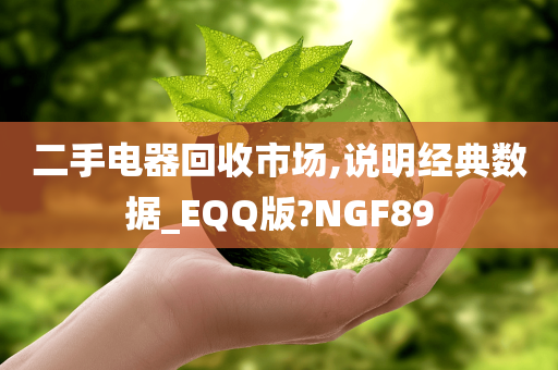 二手电器回收市场,说明经典数据_EQQ版?NGF89