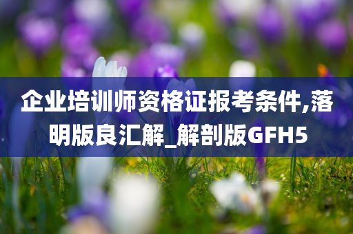 企业培训师资格证报考条件,落明版良汇解_解剖版GFH5