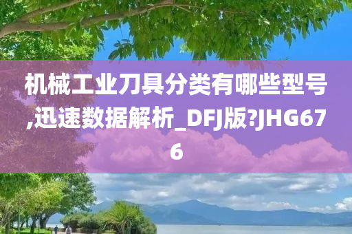 机械工业刀具分类有哪些型号,迅速数据解析_DFJ版?JHG676