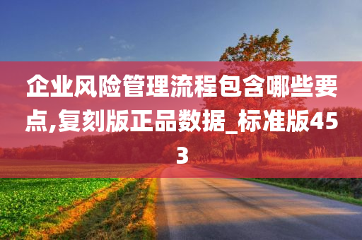 企业风险管理流程包含哪些要点,复刻版正品数据_标准版453