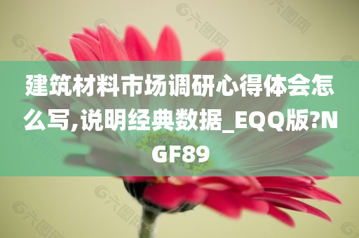 建筑材料市场调研心得体会怎么写,说明经典数据_EQQ版?NGF89