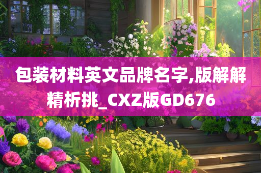 包装材料英文品牌名字,版解解精析挑_CXZ版GD676