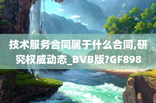 技术服务合同属于什么合同,研究权威动态_BVB版?GF898