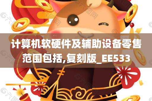 计算机软硬件及辅助设备零售范围包括,复刻版_EE533