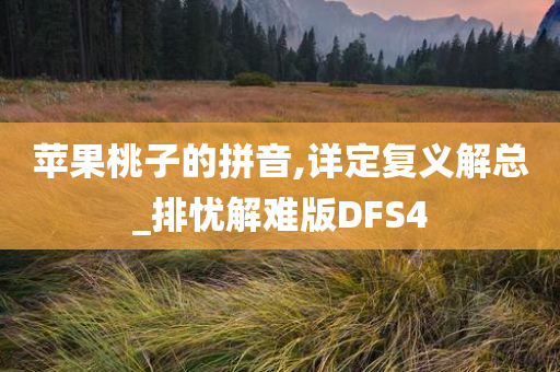 苹果桃子的拼音,详定复义解总_排忧解难版DFS4