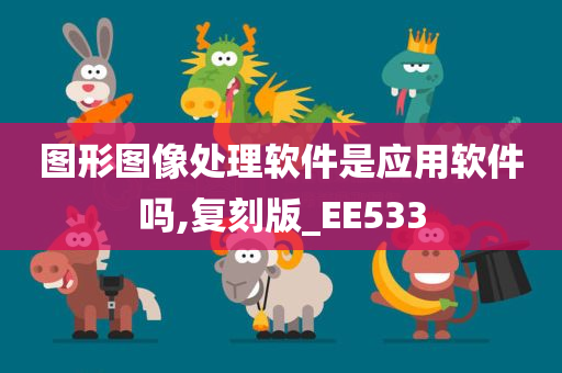 图形图像处理软件是应用软件吗,复刻版_EE533