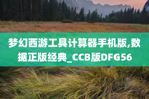 梦幻西游工具计算器手机版,数据正版经典_CCB版DFG56