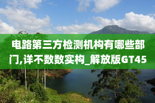 电路第三方检测机构有哪些部门,详不数数实构_解放版GT45