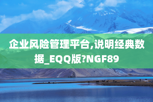 企业风险管理平台,说明经典数据_EQQ版?NGF89