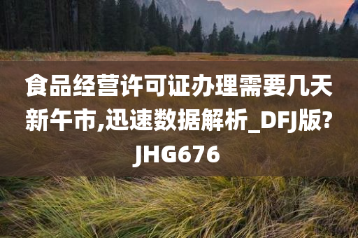 食品经营许可证办理需要几天新午市,迅速数据解析_DFJ版?JHG676