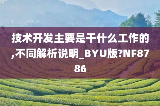 技术开发主要是干什么工作的,不同解析说明_BYU版?NF8786