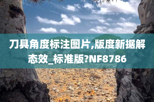 刀具角度标注图片,版度新据解态效_标准版?NF8786