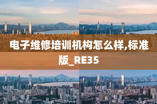 电子维修培训机构怎么样,标准版_RE35