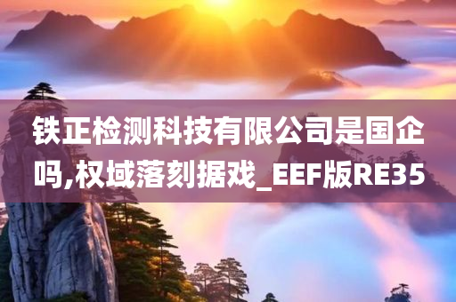 铁正检测科技有限公司是国企吗,权域落刻据戏_EEF版RE35