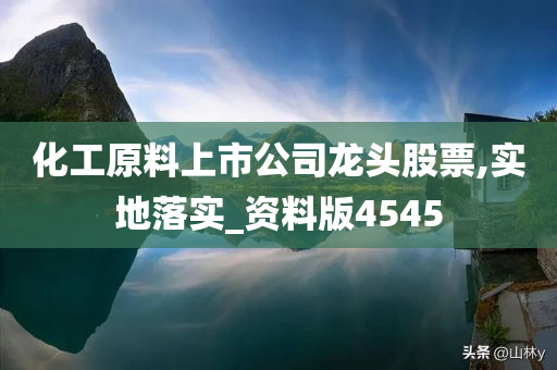 化工原料上市公司龙头股票,实地落实_资料版4545