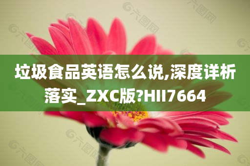 垃圾食品英语怎么说,深度详析落实_ZXC版?HII7664