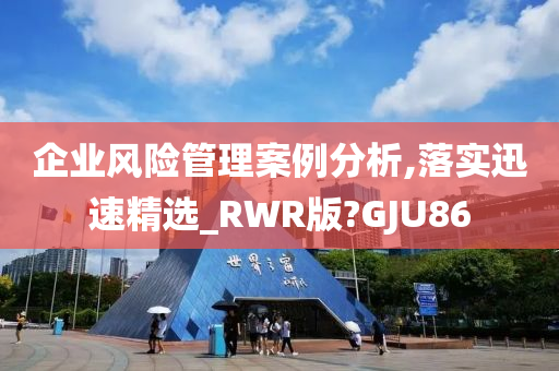 企业风险管理案例分析,落实迅速精选_RWR版?GJU86