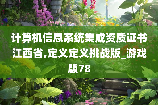 计算机信息系统集成资质证书江西省,定义定义挑战版_游戏版78