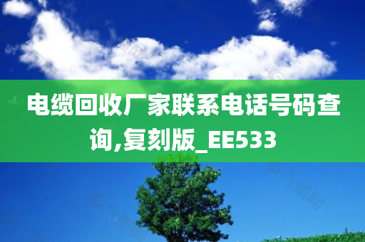 电缆回收厂家联系电话号码查询,复刻版_EE533