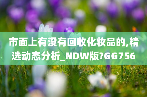 市面上有没有回收化妆品的,精选动态分析_NDW版?GG756