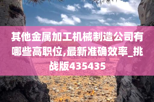 其他金属加工机械制造公司有哪些高职位,最新准确效率_挑战版435435