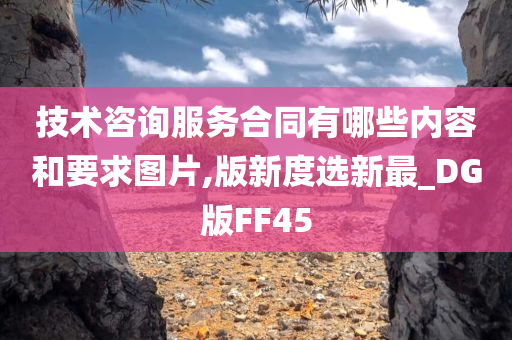 技术咨询服务合同有哪些内容和要求图片,版新度选新最_DG版FF45