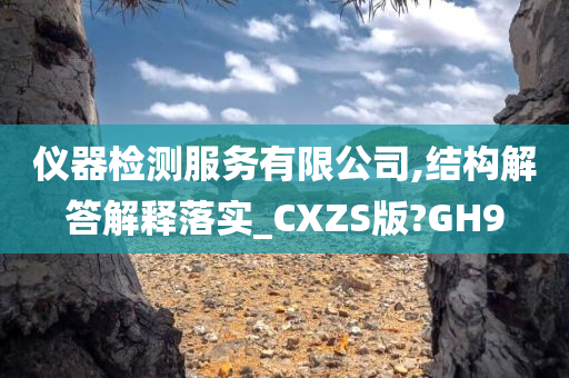 仪器检测服务有限公司,结构解答解释落实_CXZS版?GH9