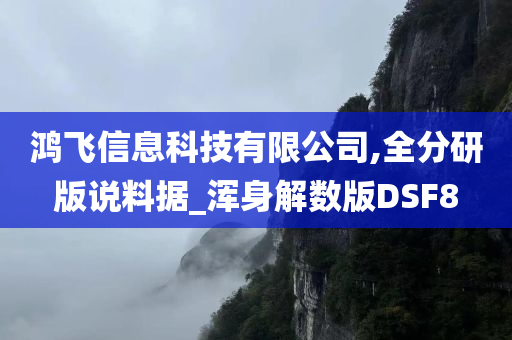 鸿飞信息科技有限公司,全分研版说料据_浑身解数版DSF8