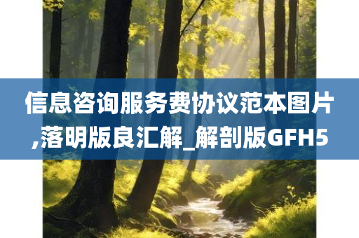 信息咨询服务费协议范本图片,落明版良汇解_解剖版GFH5