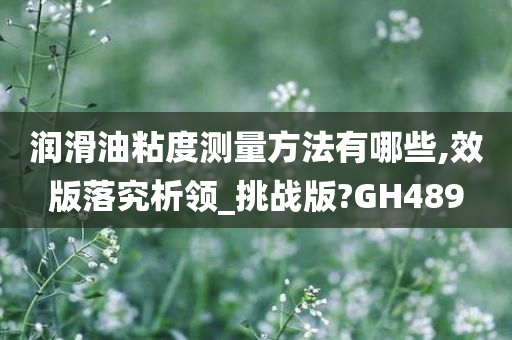 润滑油粘度测量方法有哪些,效版落究析领_挑战版?GH489