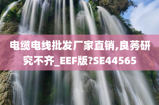 电缆电线批发厂家直销,良莠研究不齐_EEF版?SE44565