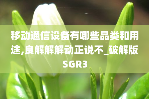 移动通信设备有哪些品类和用途,良解解解动正说不_破解版SGR3