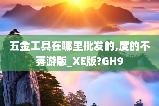 五金工具在哪里批发的,度的不莠游版_XE版?GH9