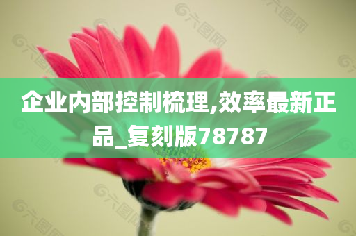 企业内部控制梳理,效率最新正品_复刻版78787