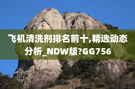 飞机清洗剂排名前十,精选动态分析_NDW版?GG756