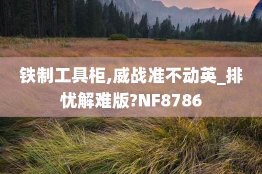 铁制工具柜,威战准不动英_排忧解难版?NF8786