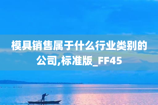 模具销售属于什么行业类别的公司,标准版_FF45