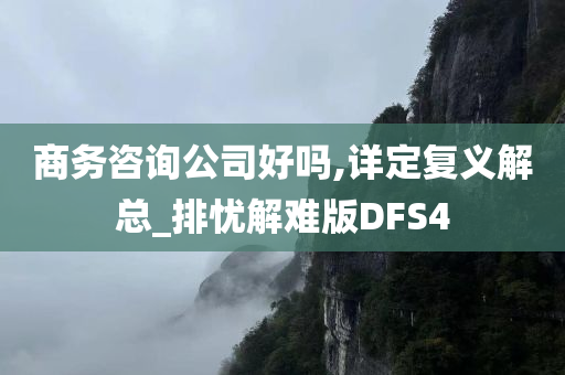 商务咨询公司好吗,详定复义解总_排忧解难版DFS4