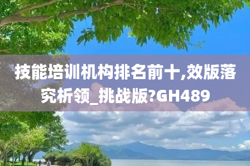 技能培训机构排名前十,效版落究析领_挑战版?GH489