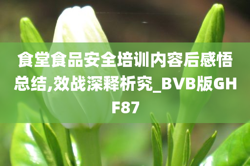 食堂食品安全培训内容后感悟总结,效战深释析究_BVB版GHF87