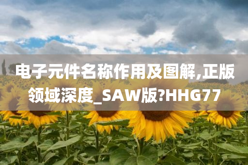 电子元件名称作用及图解,正版领域深度_SAW版?HHG77