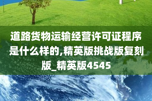 道路货物运输经营许可证程序是什么样的,精英版挑战版复刻版_精英版4545