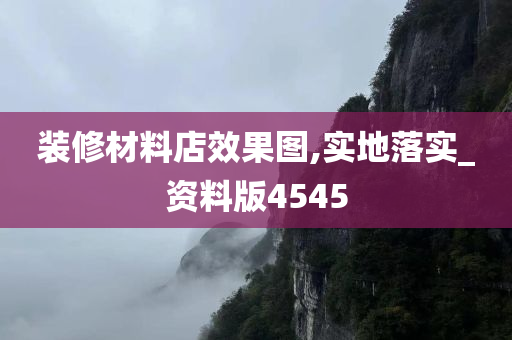 装修材料店效果图,实地落实_资料版4545