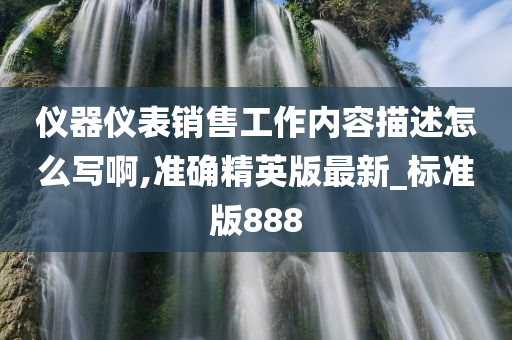 仪器仪表销售工作内容描述怎么写啊,准确精英版最新_标准版888