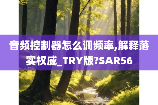 音频控制器怎么调频率,解释落实权威_TRY版?SAR56