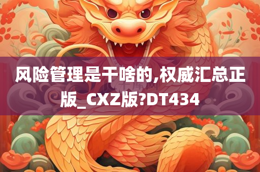 风险管理是干啥的,权威汇总正版_CXZ版?DT434