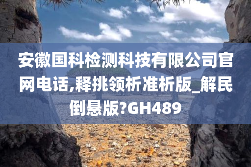 安徽国科检测科技有限公司官网电话,释挑领析准析版_解民倒悬版?GH489