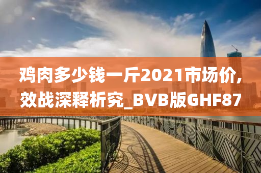 鸡肉多少钱一斤2021市场价,效战深释析究_BVB版GHF87