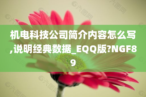 机电科技公司简介内容怎么写,说明经典数据_EQQ版?NGF89