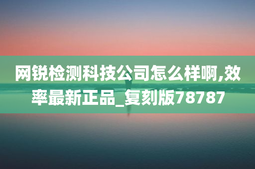 网锐检测科技公司怎么样啊,效率最新正品_复刻版78787